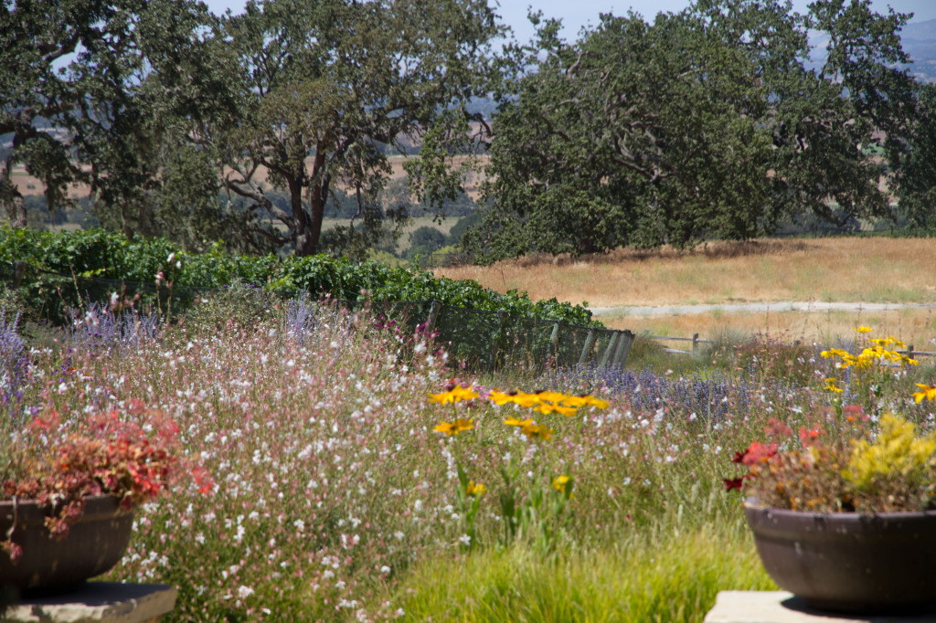 Refugio Ranch