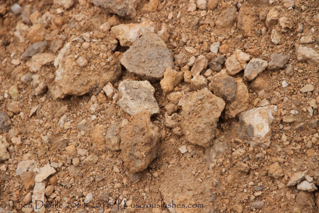 soil at Sierra Salinas