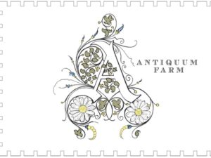 Antiquum Farm logo